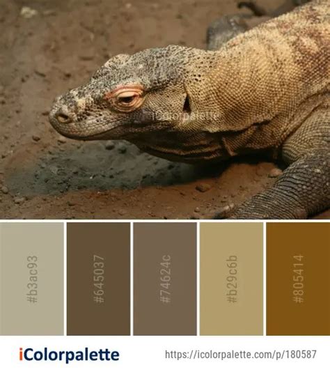 6 Komodo Dragon Color Palette Ideas In 2024 Icolorpalette