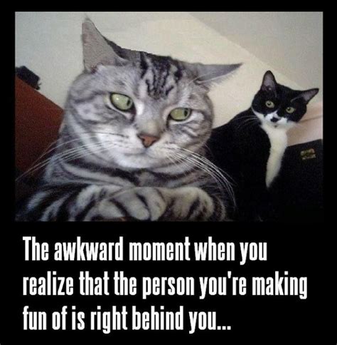 The Awkward Moment When You Realize That The Person Youre Making Fun