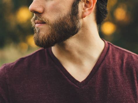 The Most Popular Beard Styles Of All Time Bulldog Skincare