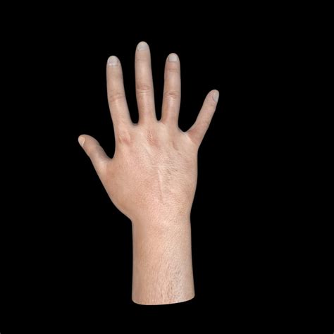 Hand 3d Model Download For Free