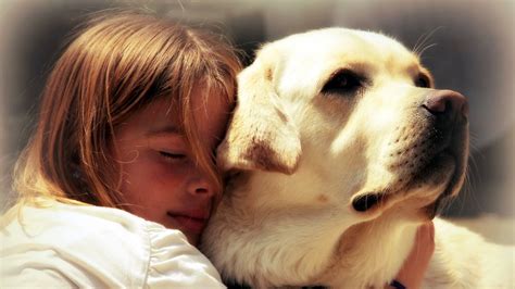 Wallpaper Nose Person Skin Friends Labrador Retriever Child