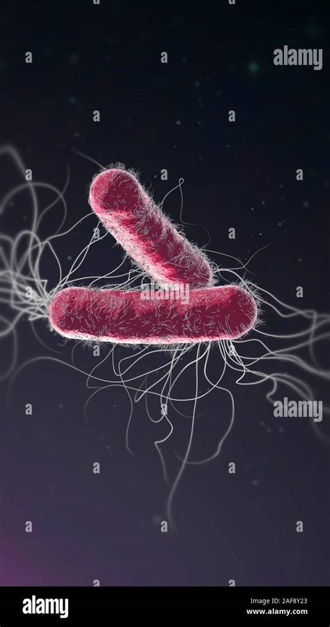 Pseudomonas Aeruginosa Bacteria Illustration Stock Photo Alamy