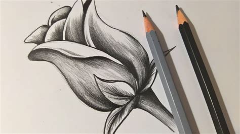 Como Dibujar Una Rosa A Lapiz Paso A Paso Dibujos A Lapiz Youtube