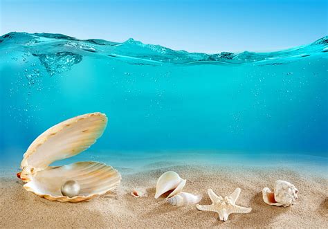 Hd Wallpaper White Pearl Sand Sea The Ocean The Bottom Shell
