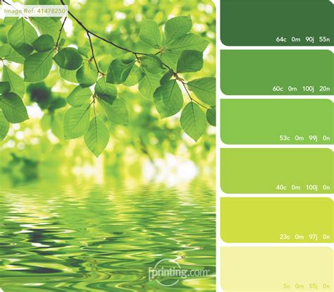 Green is the color between blue and yellow on the visible spectrum. Nuanciers - printing.com | Green palette, Color palette ...
