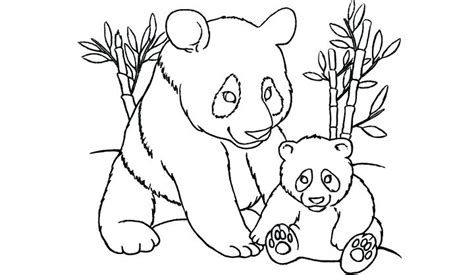 Panda Bear Line Drawing At Getdrawings Free Download