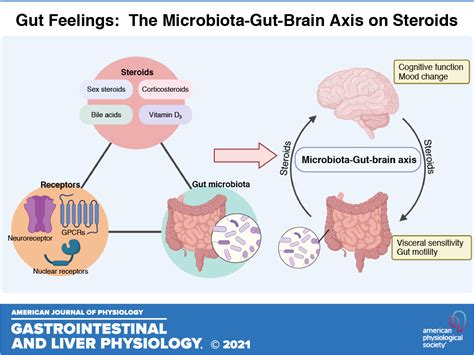 Gut Feelings The Microbiota Gut Brain Axis On Steroids American