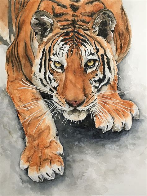 Tiger Watercolor Painting By Kate Plum Doodlewash Tiger Painting Acrylic Sunflower Watercolor