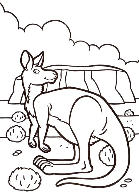 Kangaroo In Australia Animal Coloring Pages For Kids To Print And Color