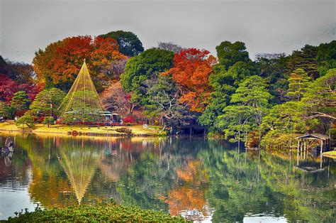 Best Places To Visit In Tokyo During Autumn Travel News