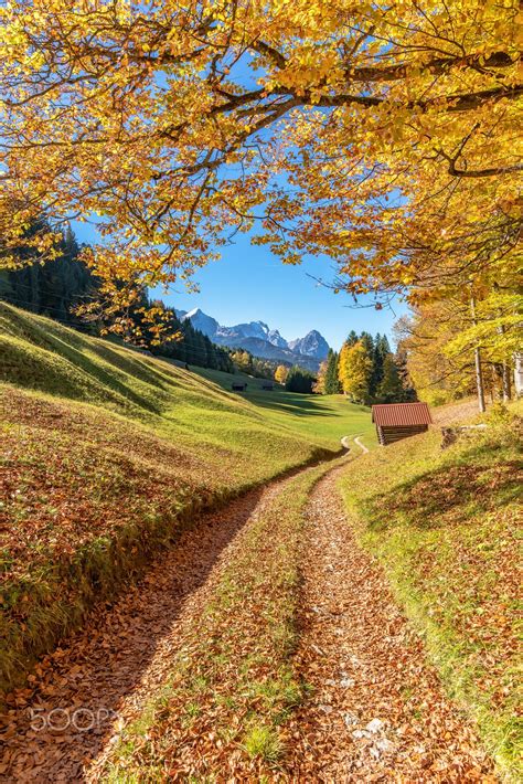 🇩🇪 Golden Road In Autumn Bavaria Germany By Achim Thomae Goldene