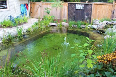 How To Build A Koi Pond With Concrete Reverasite