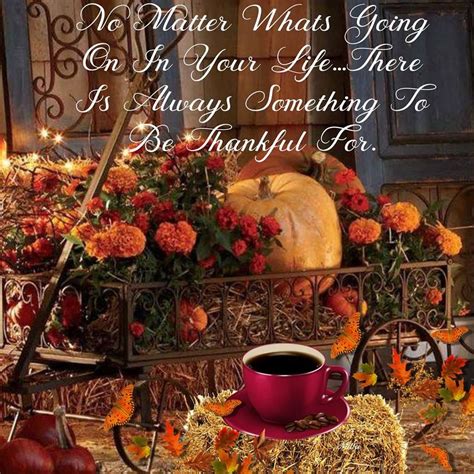 Thanksgiving Greetings Happy Thanksgiving Thanksgiving Images