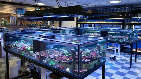 Tropical Fish Stores Near Me