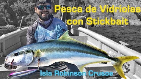 Pesca De Vidriolas Isla Robinson Crusoe Stickbaiting Yellowtail