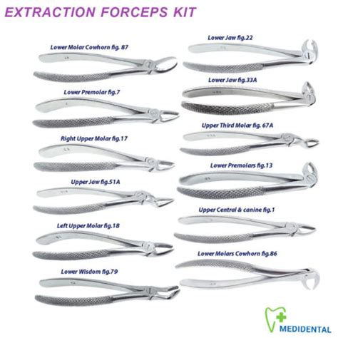 Dental Surgical Instrument Names Of Dental Tooth Extraction Forceps Buy