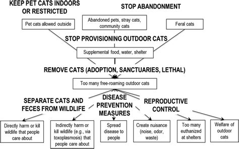 Pathways In The Conceptual Model Of Outdoor Cat Management That Can Be