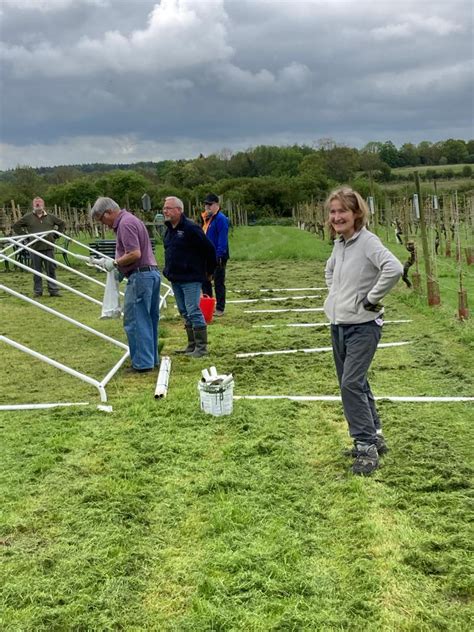 Warden Abbey Vineyard Among Hundreds Of Organisations To Participate In