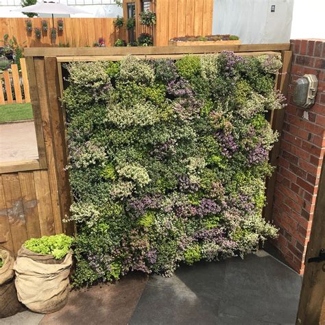 Buy Living Wall Vertical Planting Starter Kit 032m2 Delivery By