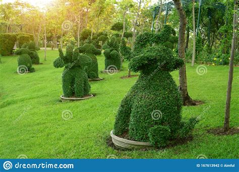 Check spelling or type a new query. Happy Elephants Shape Bush Standing In The Park Under ...