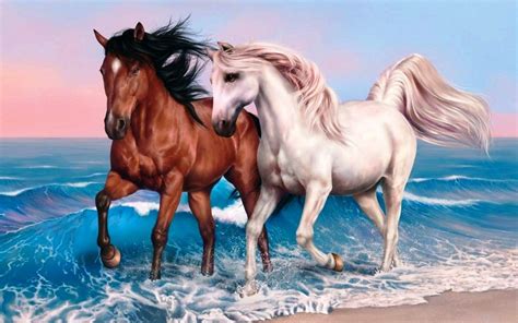 White Horse Running On Beach Wallpapers Wallpaper Cave