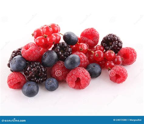 Isolated Berries Stock Photo Image Of Agriculture Healthy 24072588