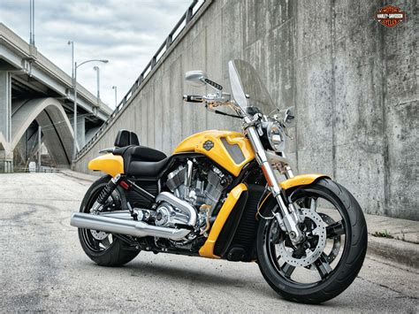 Looks like this custom 2016 night rod special has been working out a bit more than its 'muscle' cousin. Harley Davidson V Rod Muscle Wallpapers - Wallpaper Cave
