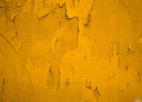 Cool Yellow Backgrounds 55 Images