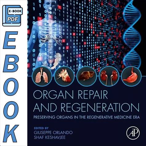 Organ Repair And Regeneration Preserving Organs In The Regenerative