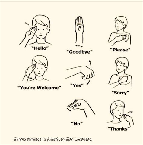 Sign Language Please Thank You Youre Welcome Thank You In Sign