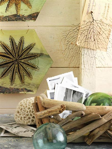 I bought a few old nature photos for the new room decor, as well as a duck bank, and a owl glasses other than having houseplants in the home, these floating leaves and flowers frames make another. 52 Ideas To Use Driftwood In Home Décor - DigsDigs