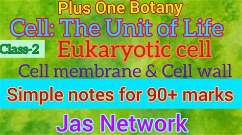 Plus One Botany Cell The Unit Of Life Eukaryotic Cell Cell