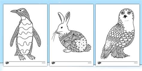Polar Animals Mindfulness Colouring Sheets Twinkl