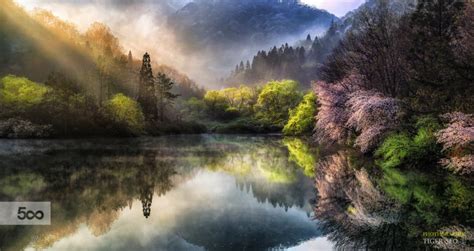 Truly Breathtaking Nature Pictures By Tiger Seo