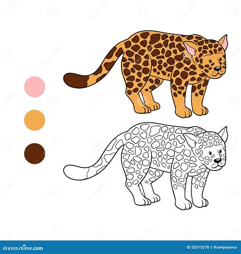 Livre De Coloriage Jaguar Illustration De Vecteur Illustration Du