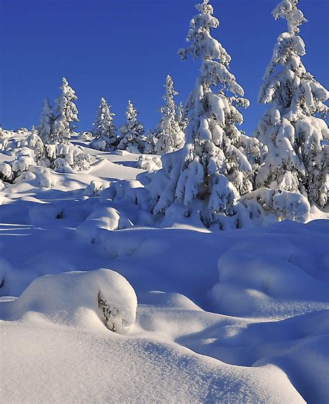 무료 이미지 경치 겨울 서리 산맥 얼음 날씨 북극의 시즌 산들 동결 비엘 송장 눈 덮인 산 소성 눈이 덮인 나무 신선한 눈 눈의 그림자