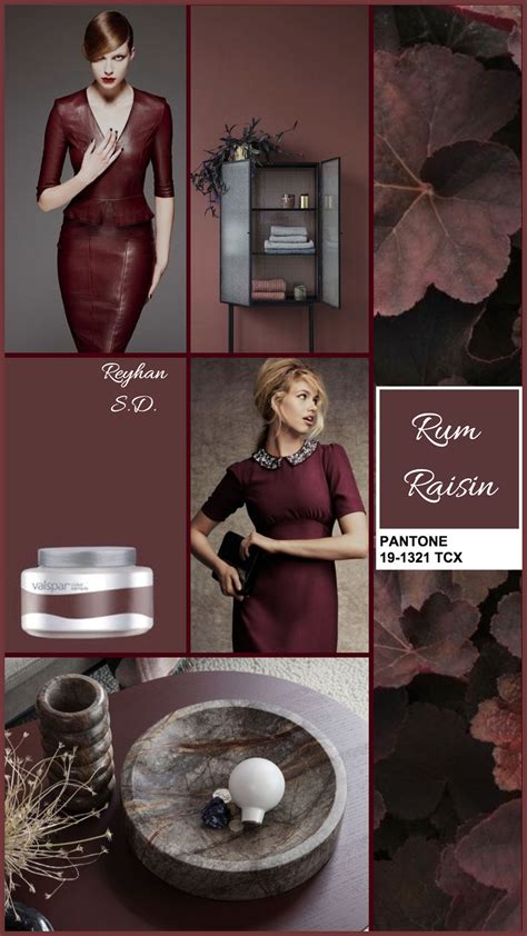 Rum Raisin Pantone Sp 2019 By Reyhan Sd Color Schemes