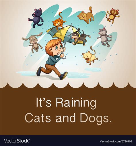 Its Raining Cats And Dogs Royalty Free Vector Image