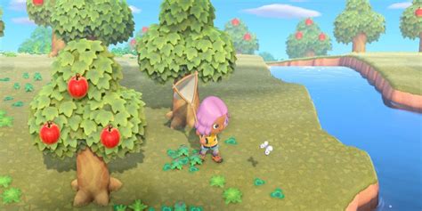 Catch These Animal Crossing New Horizons Bugs Before May Ends