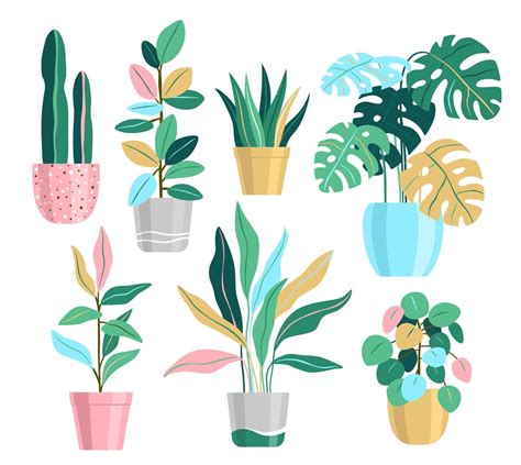 Potted Plant Set Home Plants Illustrations 2251470 Vector Art At Vecteezy