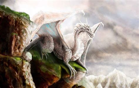 White Dragon Wallpapers Wallpaper Cave