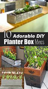 Let us know in the comments below! 10 Adorable DIY Planter Box Ideas
