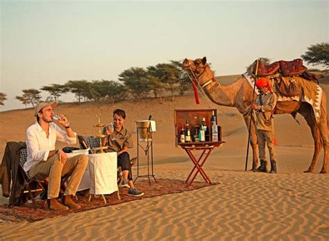 A camel is an animal belonging to the camelidae family with a distinctive hump at its back. Cuisine and Lifestyle in Jaisalmer, Rajasthan - Swan Tours