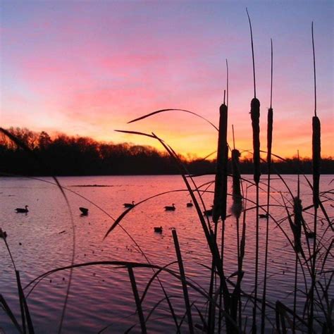 10 Most Popular Duck Hunting Iphone Wallpaper Full Hd 1920×1080 For Pc