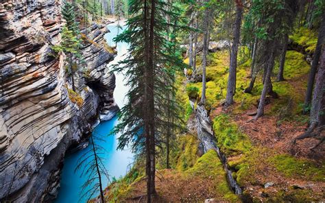 Wallpaper 1920x1200 Px Alberta Canada Cliff Erosion Forest