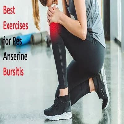 Best Exercise For Pes Anserine Bursitis Samarpan Physio