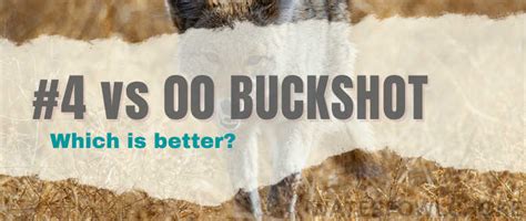 4 Vs 00 Buckshot Which Is Better For Predator Hunting Waterfowlchoke