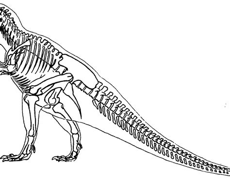 Dinosaur Skeleton Coloring Pages At Getdrawings Free Download