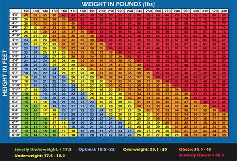 Bmi Body Fat Percentage Chart
