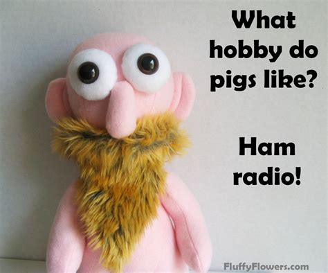Cute And Clean Pig Ham Radio Kids Joke For Children Featuring An Adorable